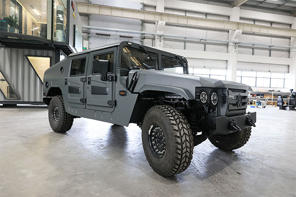 High Performance All-Terrain Off-Road Vehicle (Logo Can Be Customized)